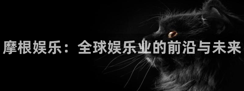耀世娱乐电子有限公司：摩根娱乐：全球娱乐业的前沿与未来