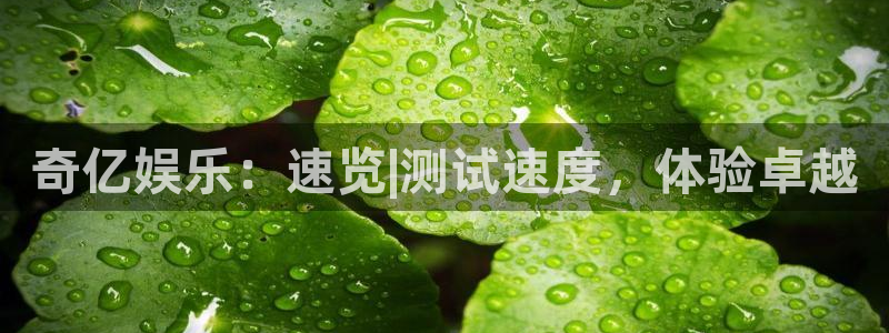 耀世娱乐2登录地址：奇亿娱乐：速览|测试速度，体验卓越