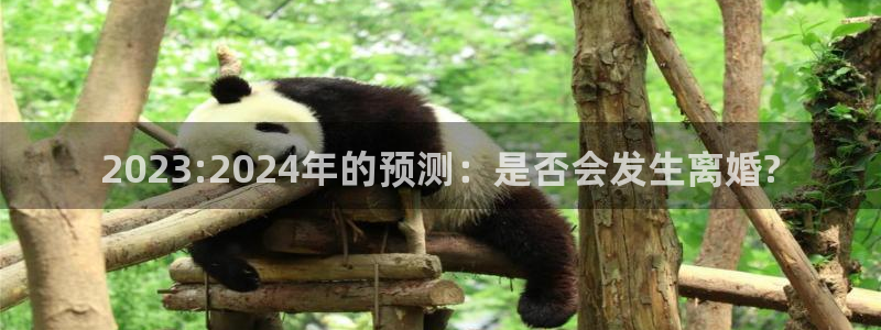 耀世娱乐体育平台登录入口：2023:2024年的预测：是否会发生离婚?