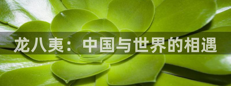 耀世娱乐体育热门赛事有哪些：龙八夷：中国与世界的相遇