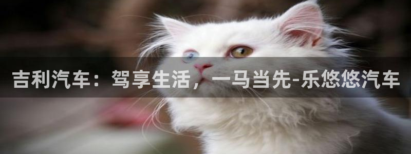 耀世娱乐集团股票：吉利汽车：驾享生活，一马当先-乐悠悠汽车