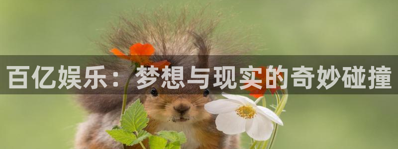 耀世娱乐4平台注册：百亿娱乐：梦想与现实的奇妙碰撞