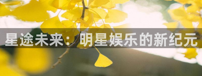 耀世娱乐5注册：星途未来：明星娱乐的新纪元