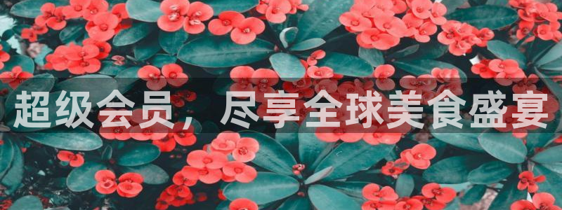 耀世娱乐4平台：超级会员，尽享全球美食盛宴