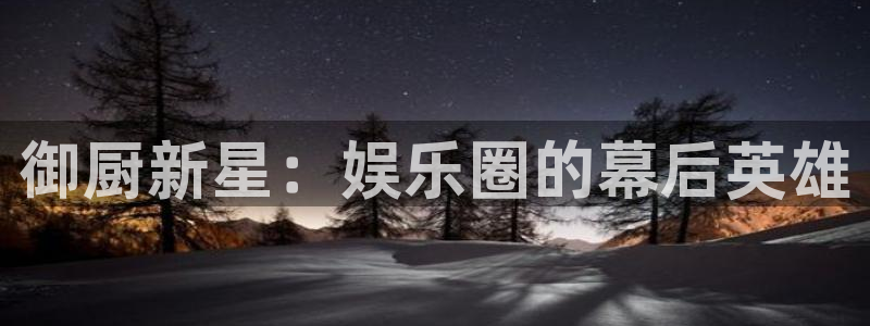 耀世娱乐体育游戏：御厨新星：娱乐圈的幕后英雄