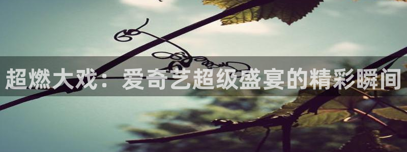 耀世娱乐官网入口：超燃大戏：爱奇艺超级盛宴的精彩瞬间