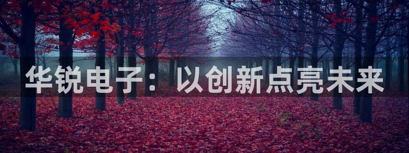 耀世娱乐体育官网注册：华锐电子：以创新点亮未来
