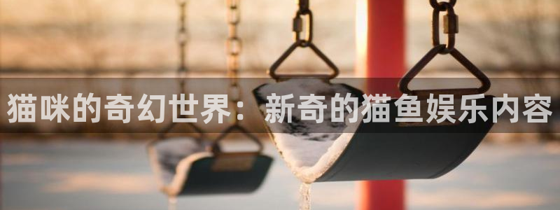 耀世娱乐5注册：猫咪的奇幻世界：新奇的猫鱼娱乐内容