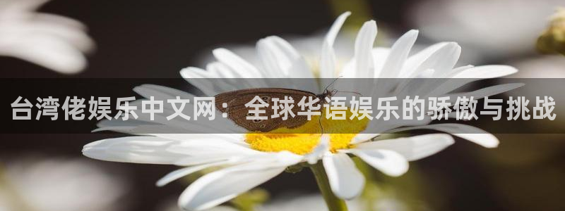 耀世娱乐3平台登录注册：台湾佬娱乐中文网：全球华语娱乐的骄傲与挑战