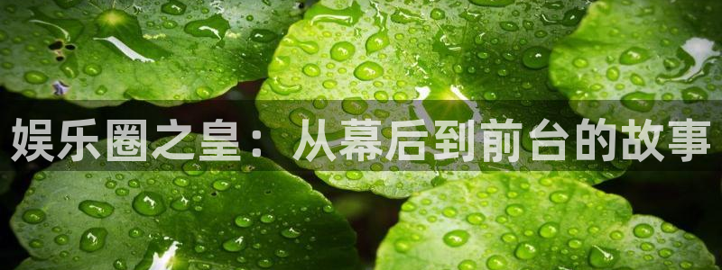 耀世娱乐体育合法嘛：娱乐圈之皇：从幕后到前台的故事