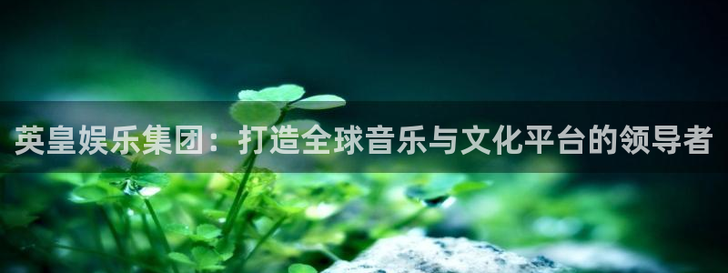 耀世娱乐电子有限公司：英皇娱乐集团：打造全球音乐与文化平台的领导者