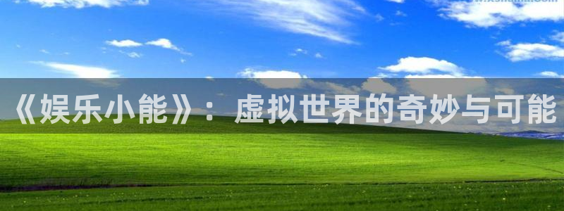 耀世娱乐体育娱乐注册链接：《娱乐小能》：虚拟世界的奇妙与可能