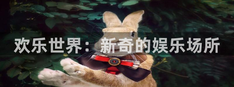 耀世娱乐4平台注册：欢乐世界：新奇的娱乐场所