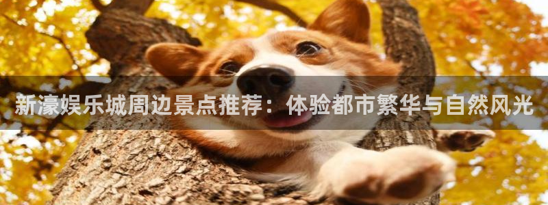 耀世娱乐主管：新濠娱乐城周边景点推荐：体验都市繁华与自然风光