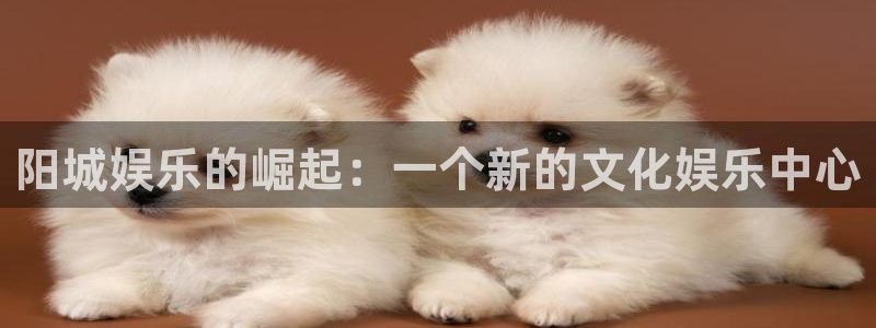 耀世娱乐体育平台开号链接：阳城娱乐的崛起：一个新的文化娱乐中心