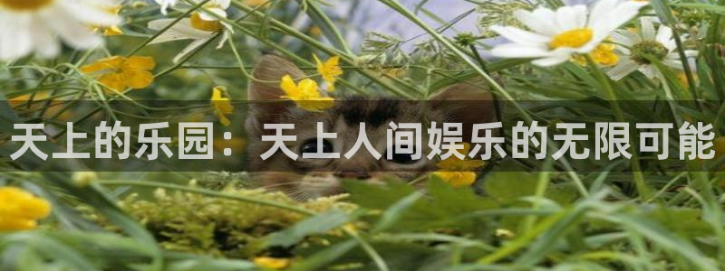 耀世娱乐体育注册：天上的乐园：天上人间娱乐的无限可能